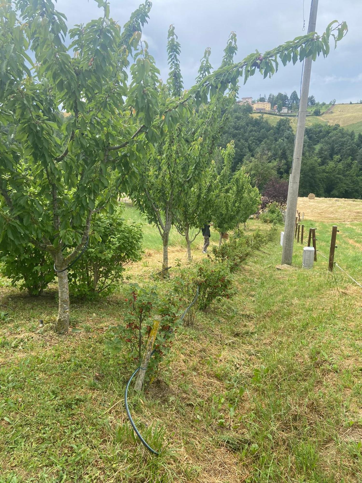 Willa Agriturismo I Tassoni Pavullo nel Frignano Zewnętrze zdjęcie